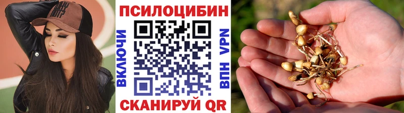 Псилоцибиновые грибы Cubensis  дарнет шоп  Нерюнгри 